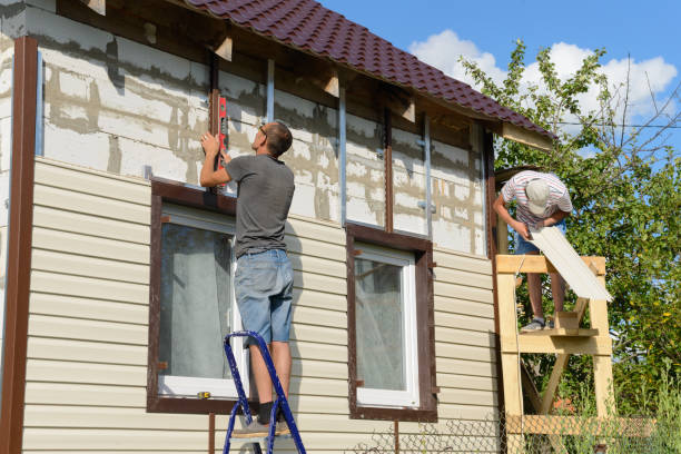 Best Brick Veneer Siding  in Bellview, FL